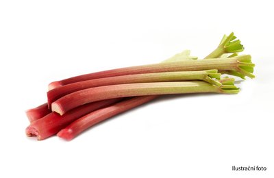 Obrázek Rebarbora 500g