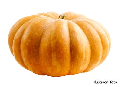 Obrázek Česká Farma Dýně muškátová