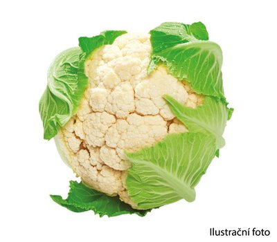 Obrázek Česká Farma Květák