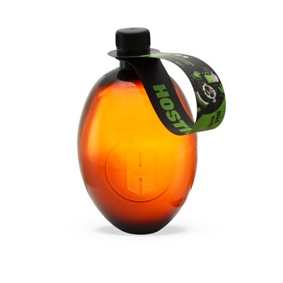 Obrázek Hostivar Ale 10C PET 1L