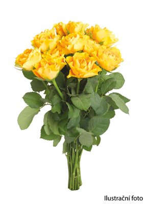 Obrázek Kytice růže 35cm